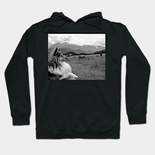 Luna and Estes Study 1 Hoodie